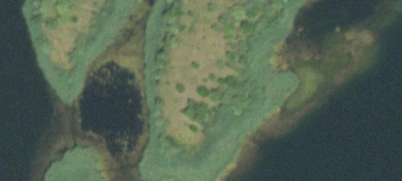 Fairmount, IL 61841