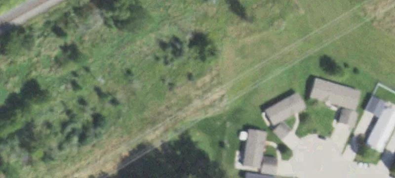 Thomas Dillon Dr