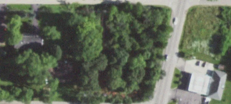 Sallmon Ave