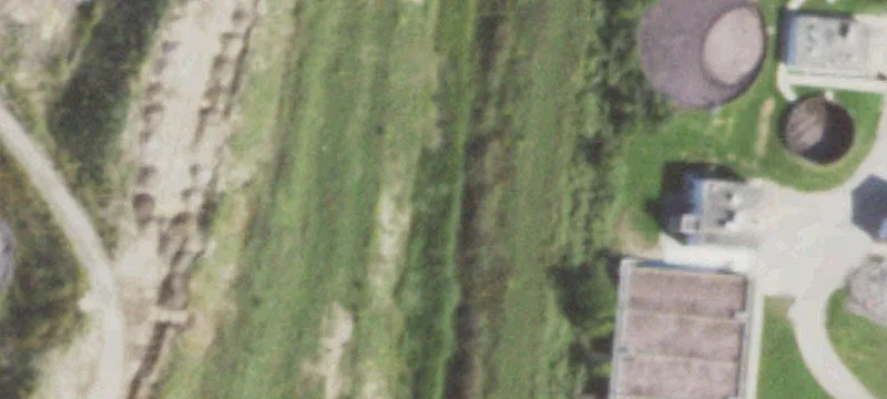 Royce Rd