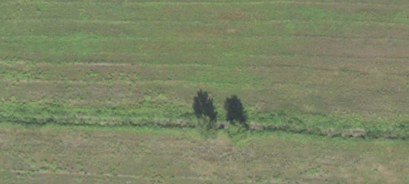 Rockwood, IL 62280