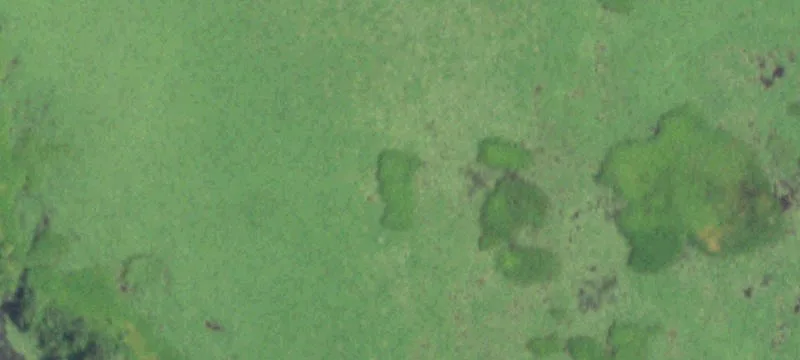 Southpark Rd Water