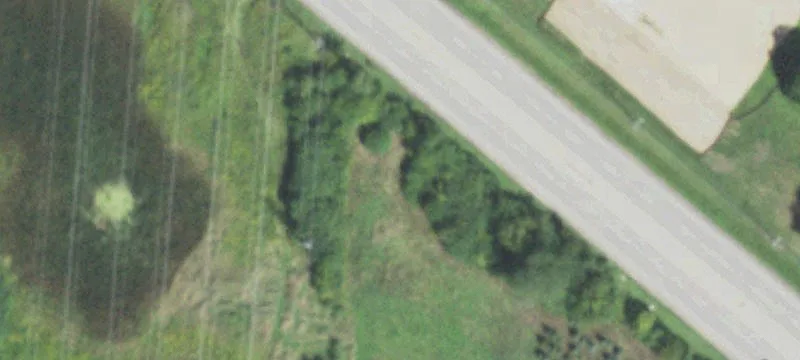 Roosevelt Rd