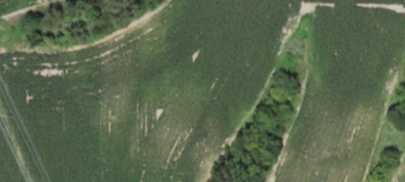 Sherrard, IL 61281