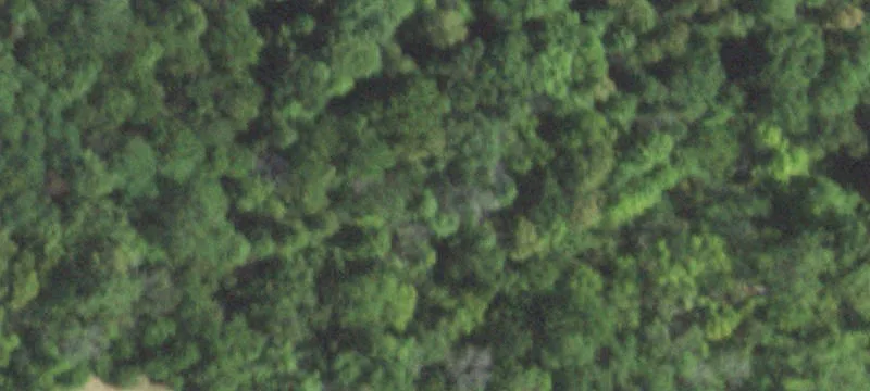 Oakwood, IL 61858