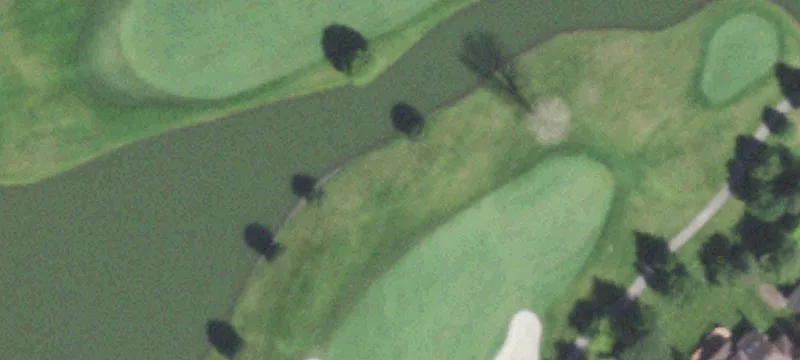 Palmer Dr