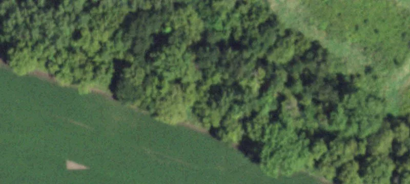 Lindenwood, IL 61049