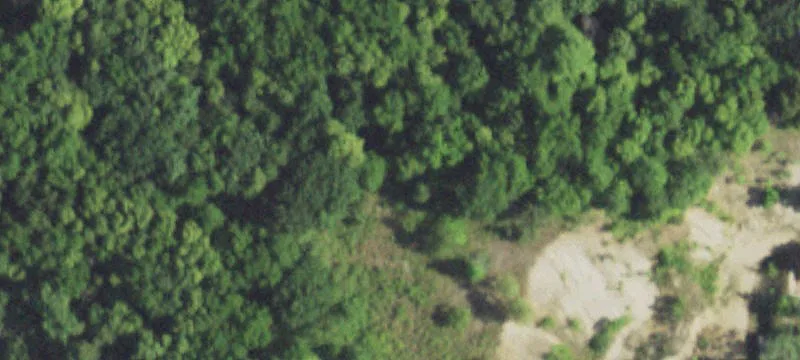 Leaf River, IL 61047