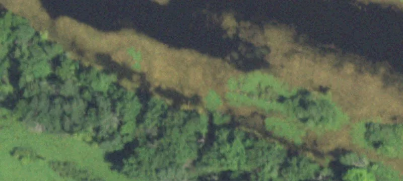 Oakwood, IL 61858
