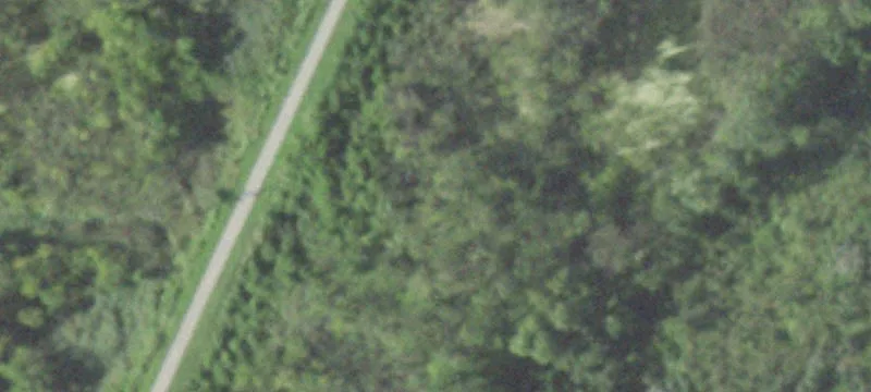 State Rte 162