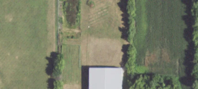 Olson Rd