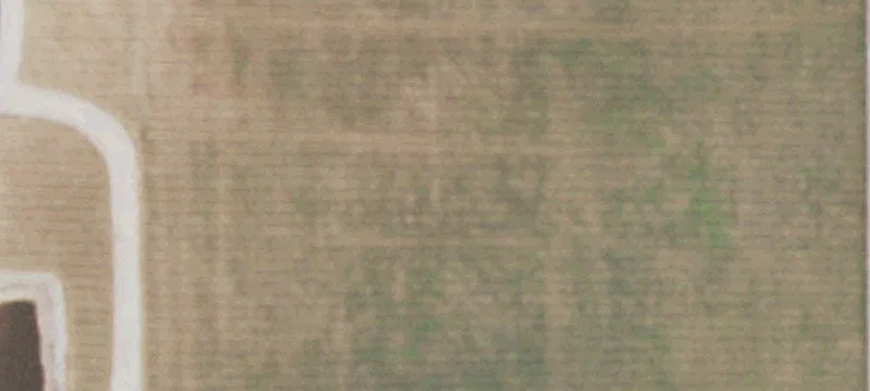 Fulton, IL 61252