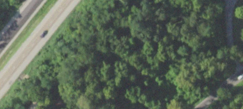 Flora Pl