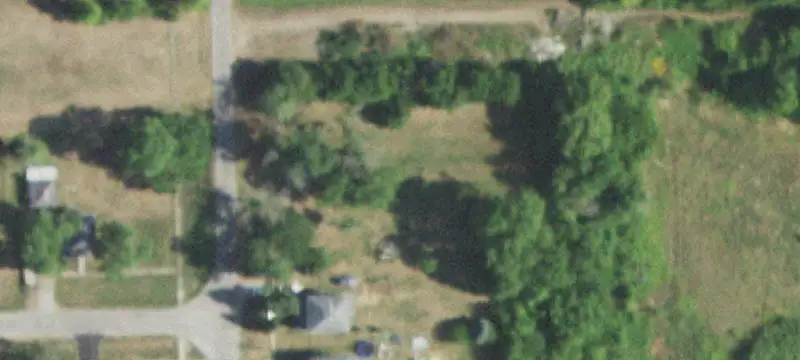 Rankin, IL 60960