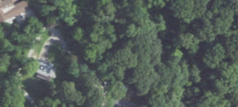 Rosenberg Ln