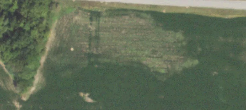 Murphysboro, IL 62966