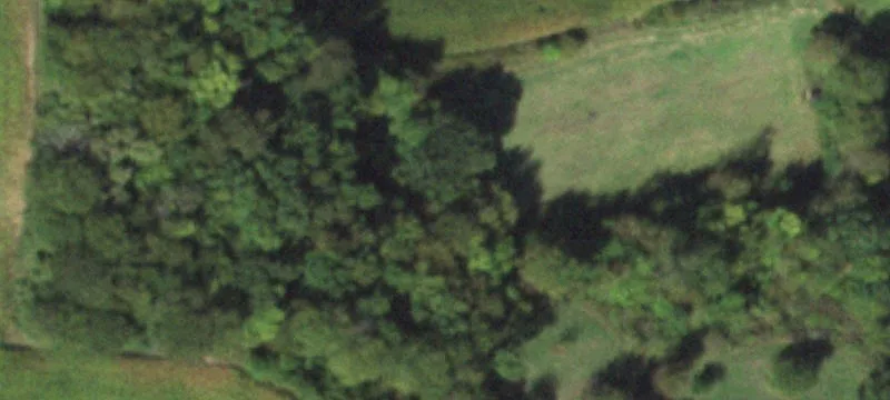 Wildlife Rd Ofc Of