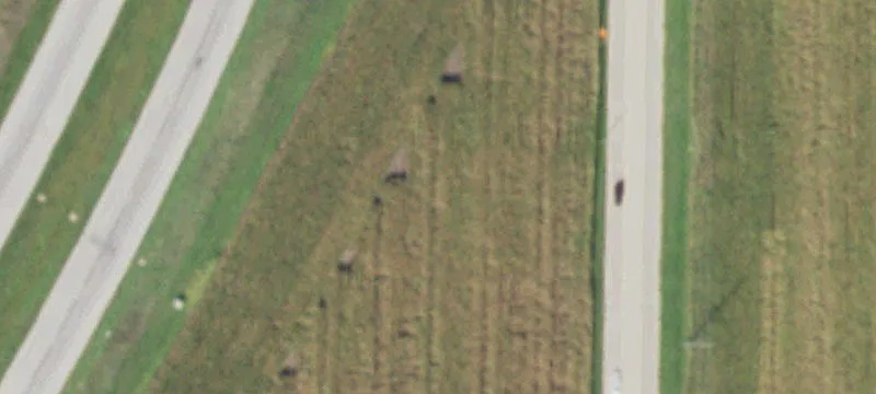 Galesburg, IL 61401