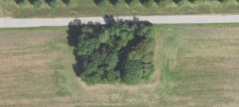 Schweitzer Rd