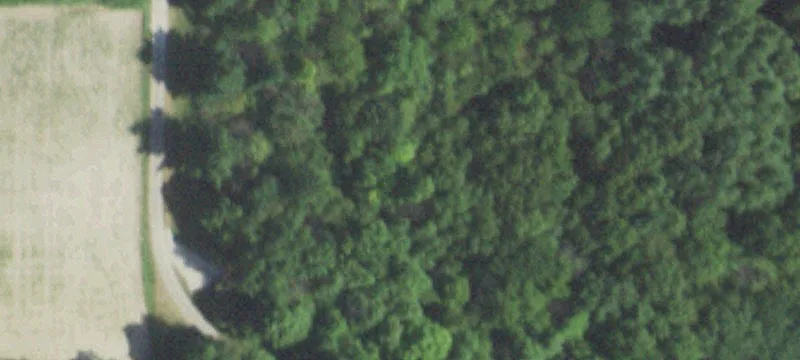Oakwood, IL 61858