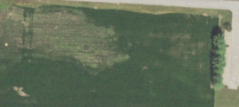 Murphysboro, IL 62966