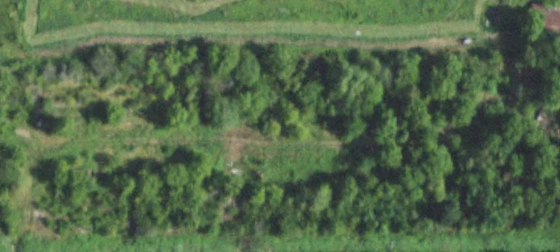 Rankin, IL 60960