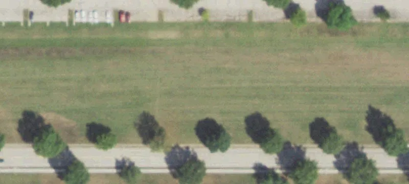 Carbondale, IL 62901