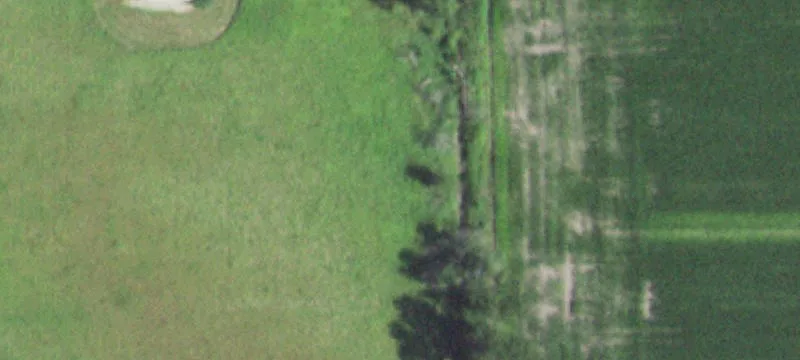 Wheeler Rd