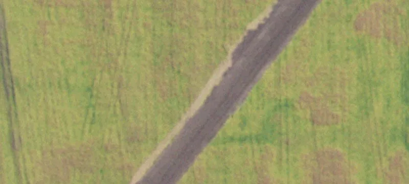 Robbins Rd