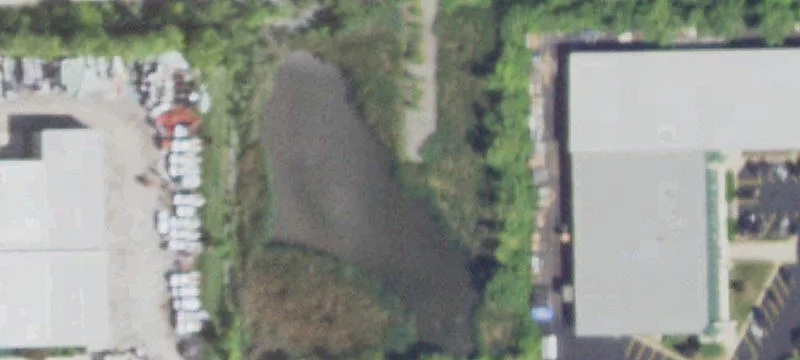 Forestwood Dr