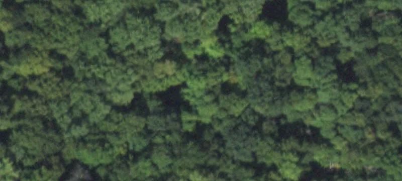 Grv Rd