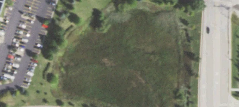 Longview Dr