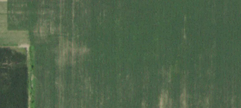 Polo, IL 61064