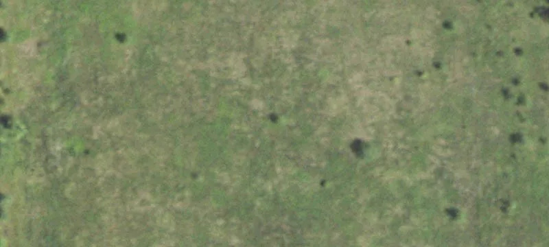 Rochelle, IL 61068