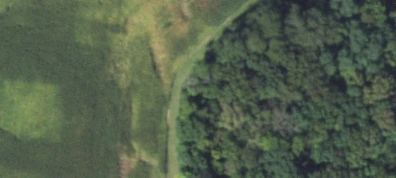 Fischer Rd