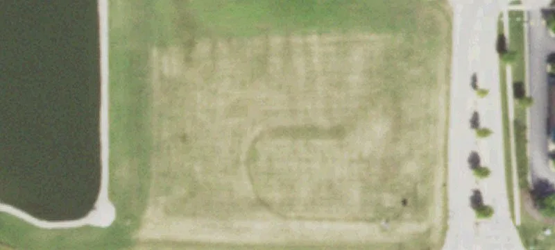 Peace Rd