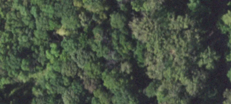 State Rte 111