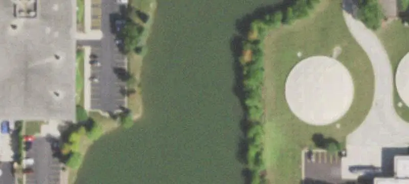 Scott Dr