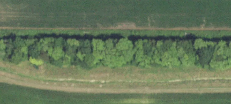 Potomac, IL 61865