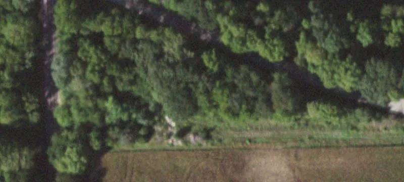 Woodrow Rd