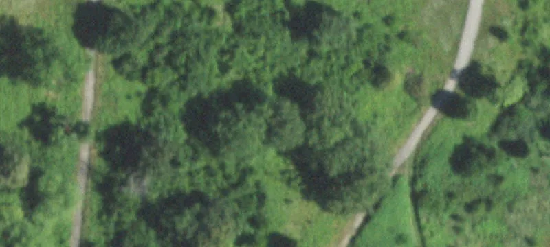 Cedar Lk Rd
