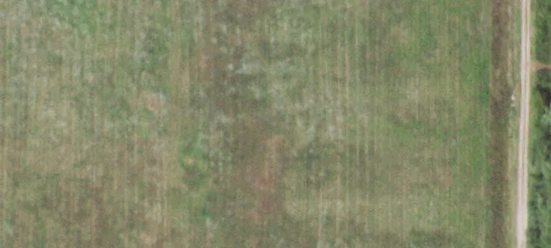 Morrison, IL 61270
