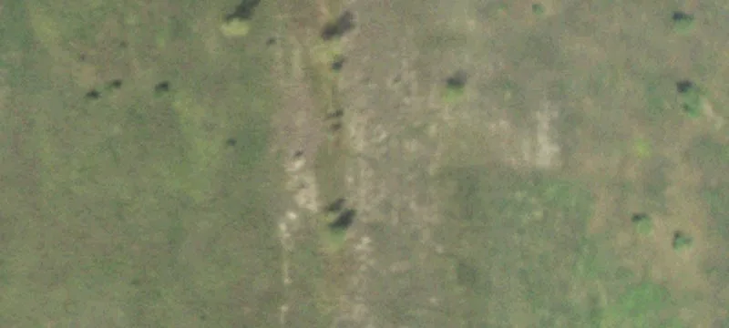 Fairmount, IL 61841