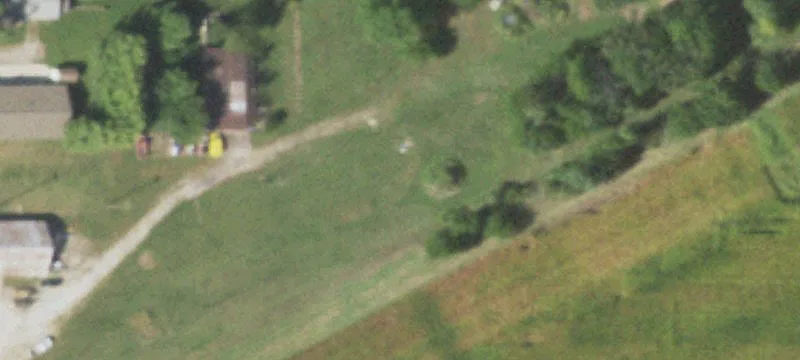 Longview, IL 61852