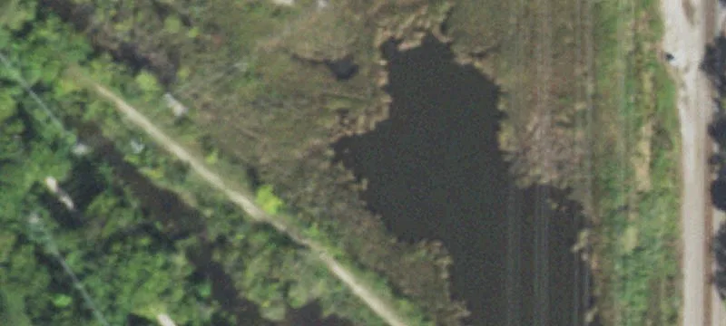 Wayne, IL 60184