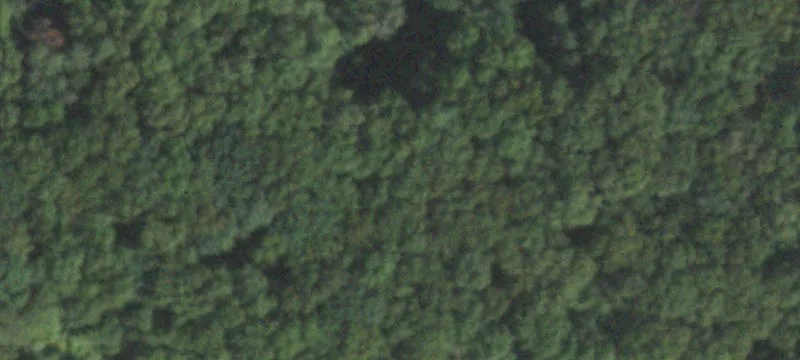 Shenk Rd