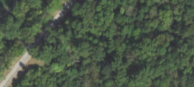 Carbondale, IL 62901
