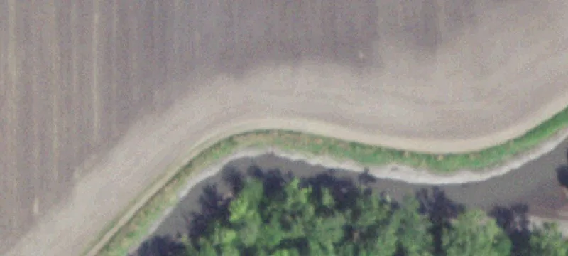 Bass Rd