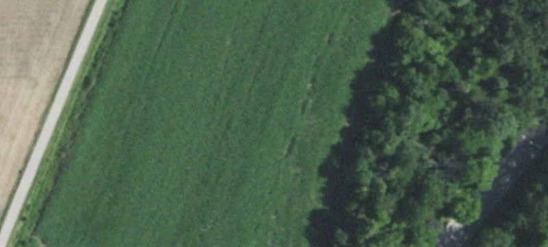 Pinckneyville Rd