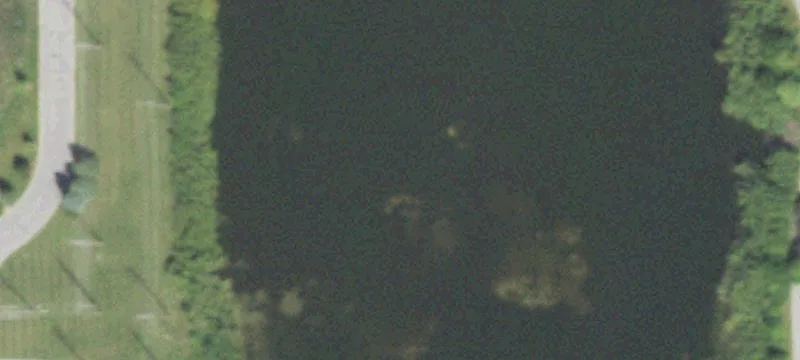 Averill Dr
